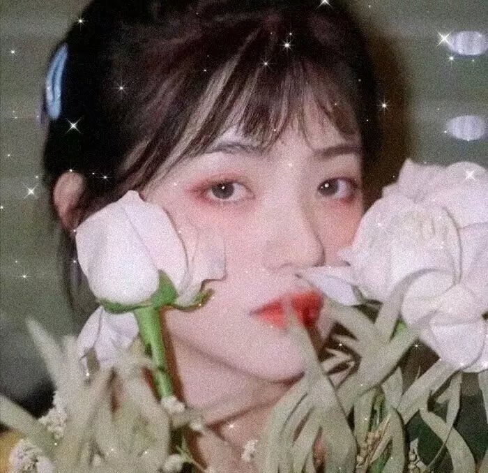 蝴蝶风暴